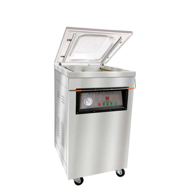 Voltage 220/110V DZ-400 machine à emballer sous vide pour les fruits de mer viande de poisson de porc de bœuf et de riz